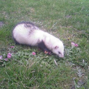 Photo 0526