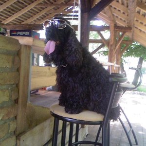 Photo 0233