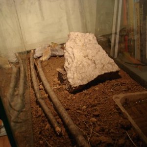 DSC01112
