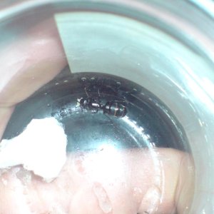 DSC01444