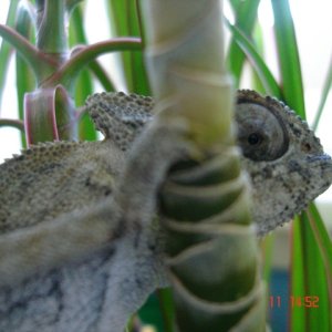 DSC00845
