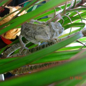 DSC00850