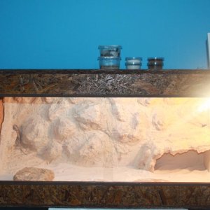 IMG 4951