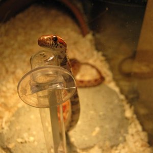 IMG 0332