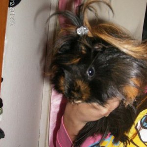 Tibi <3