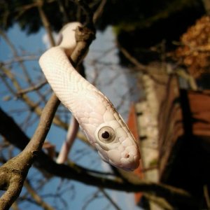 20170322 153906